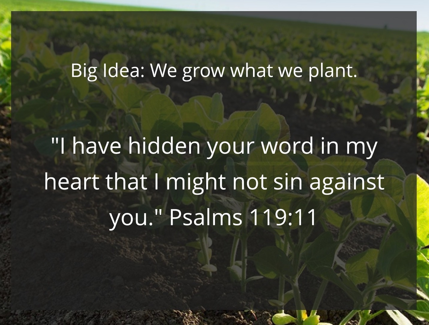 What’s Growing? Bible Devotions for Teens