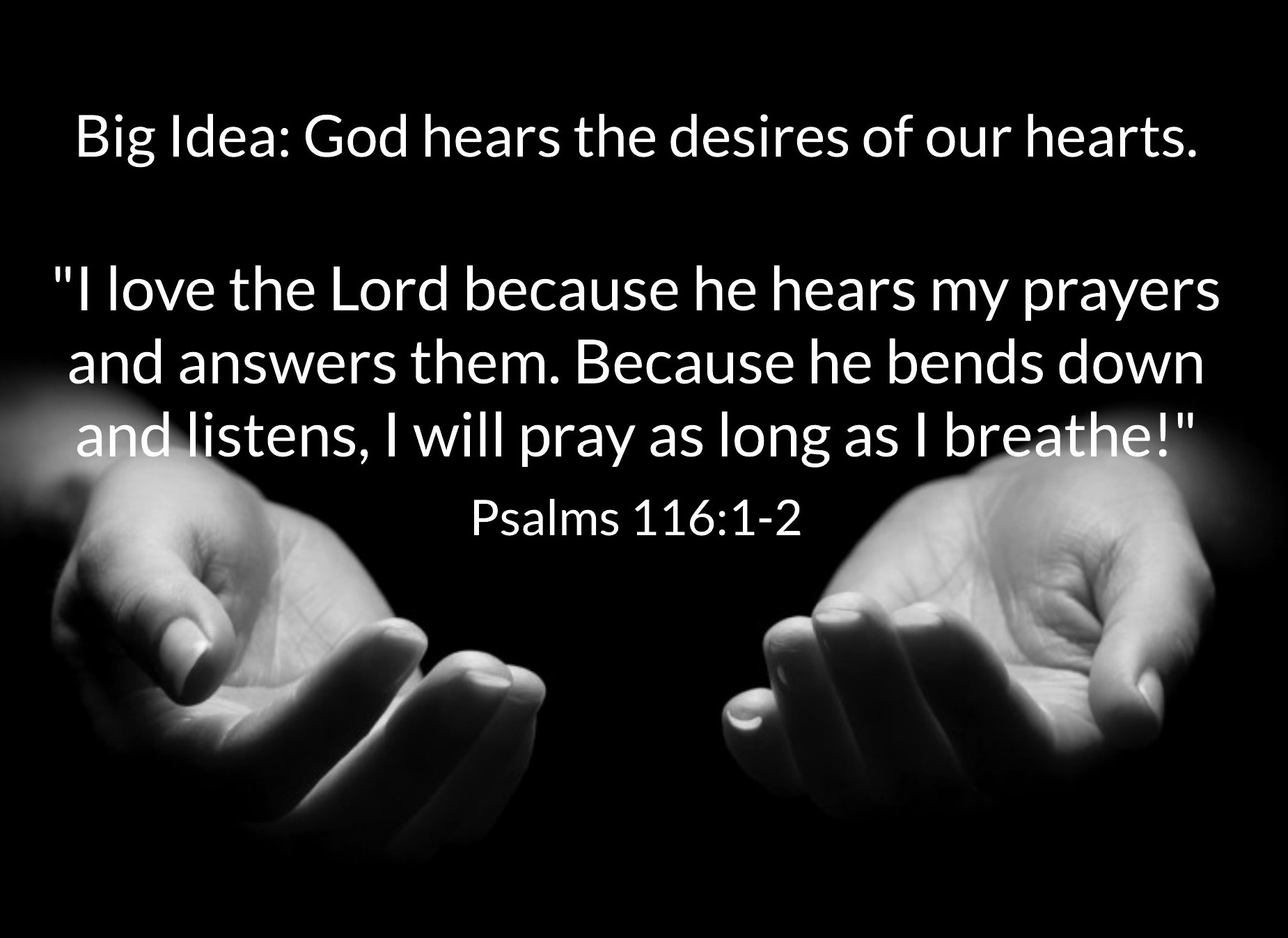 Heard Bible Devotions For Teens Heard bible devotions for teens