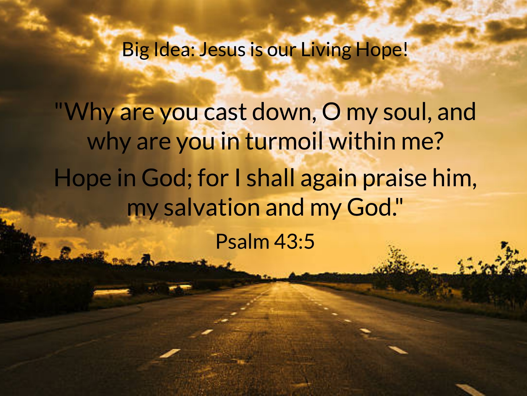 Jesus Scripture Hope Bible Verses On Hope In Christ